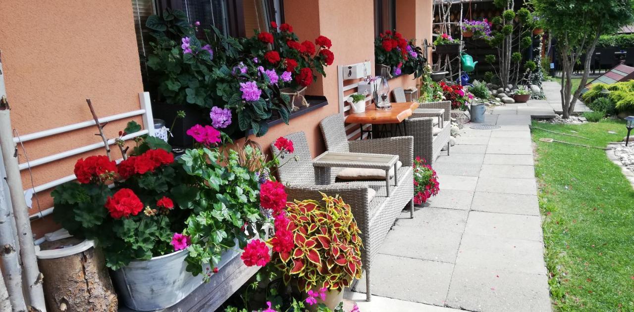 Apartmany U Jirousu Rokytnice nad Jizerou Exterior foto